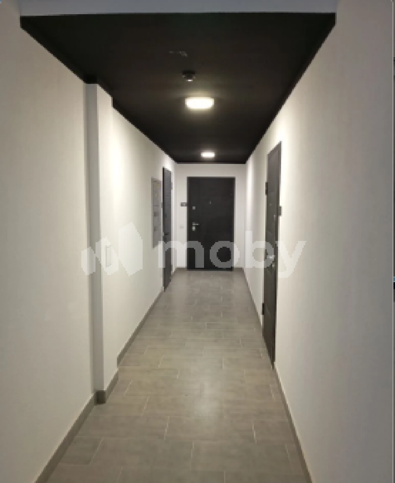 Фото: 2169b8c7-dbc1-4c17-bbf8-dc89bc23d356.png