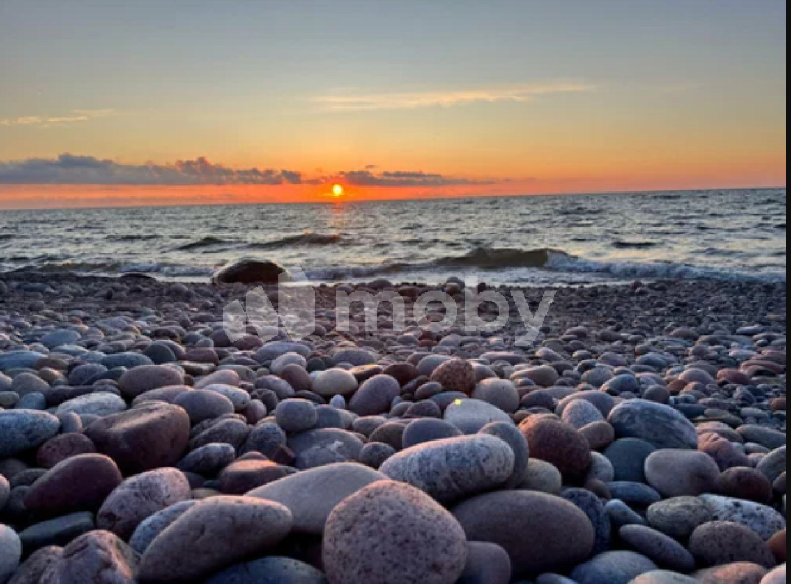 Фото: 2172dcc8-65b1-40eb-bae5-7346d7f25bd7.png