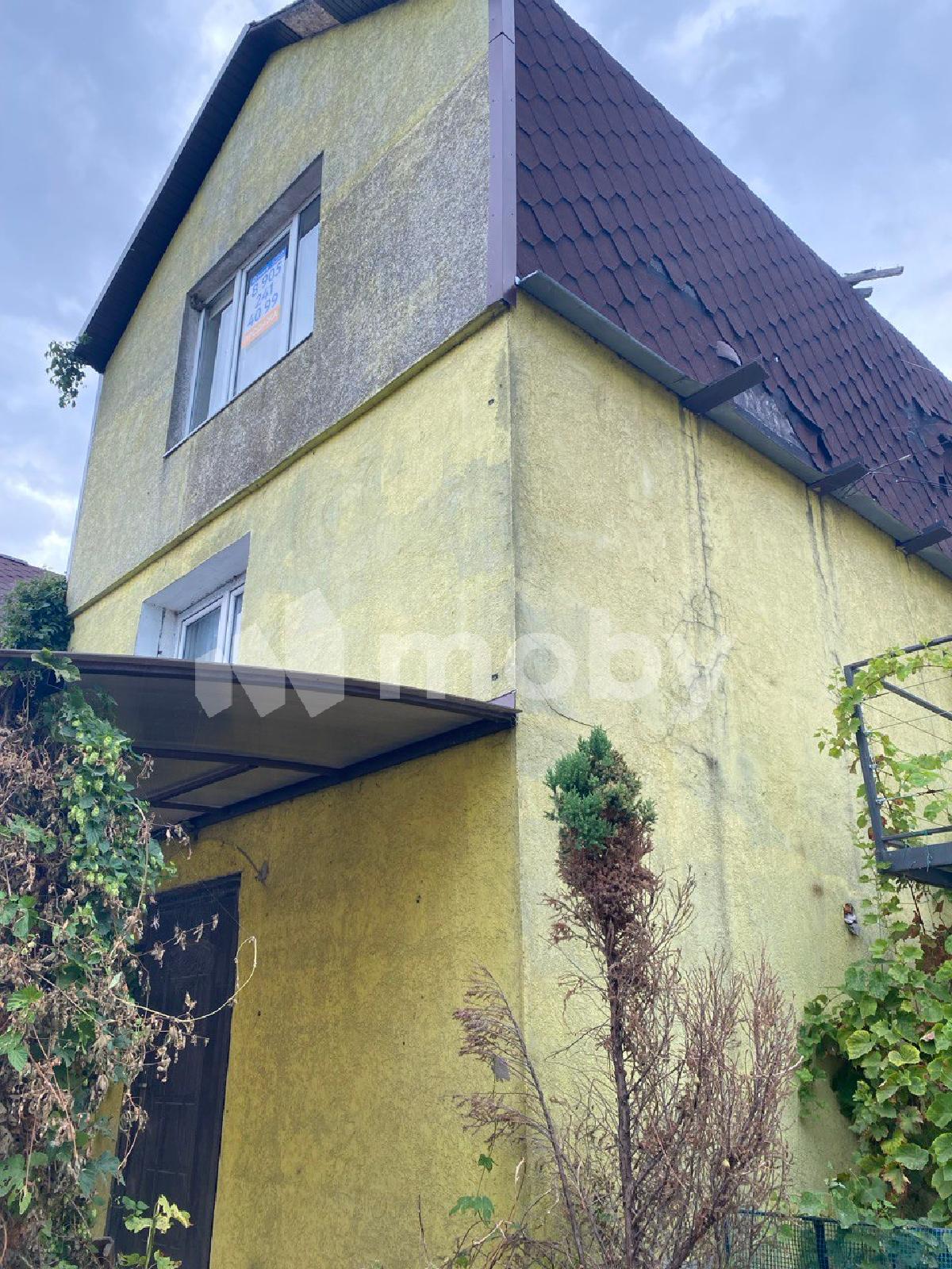 Фото: 218f0368-1b06-4ed4-91c1-2d0a2ed0a50b.jpg