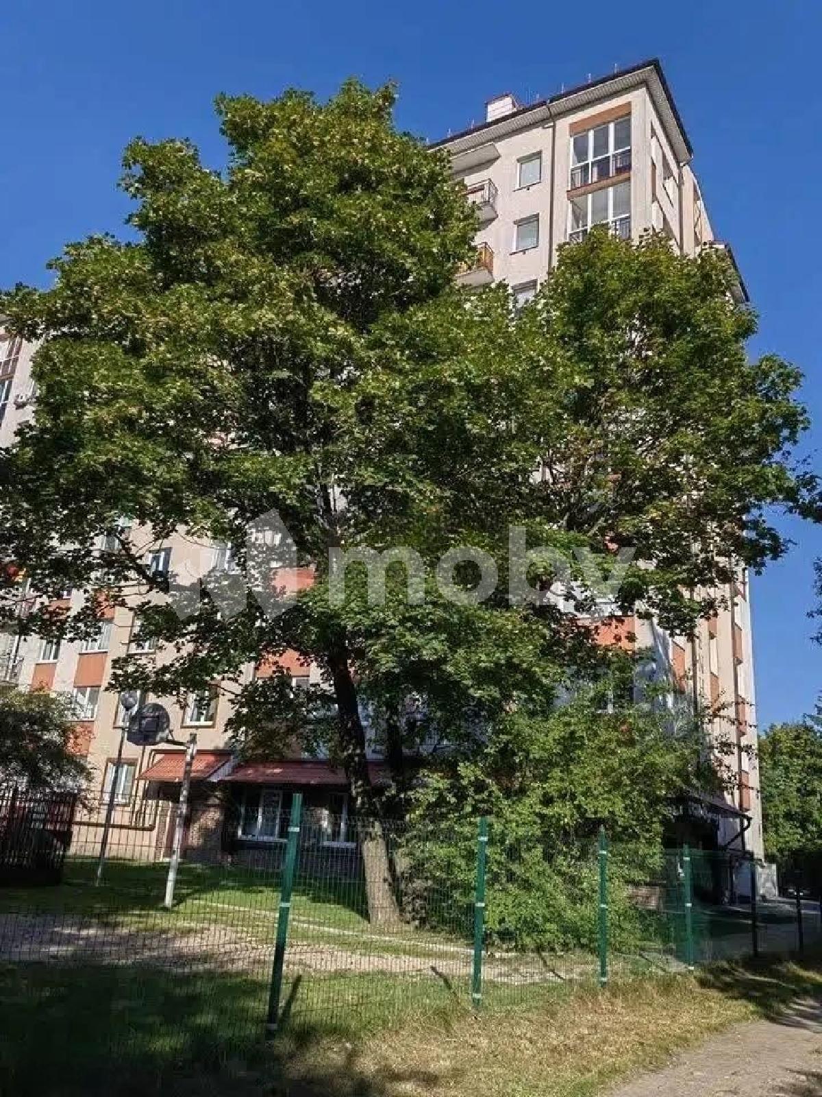 Фото: 22f3bf5a-ea04-4c6c-9156-a277357c09b4.jpg