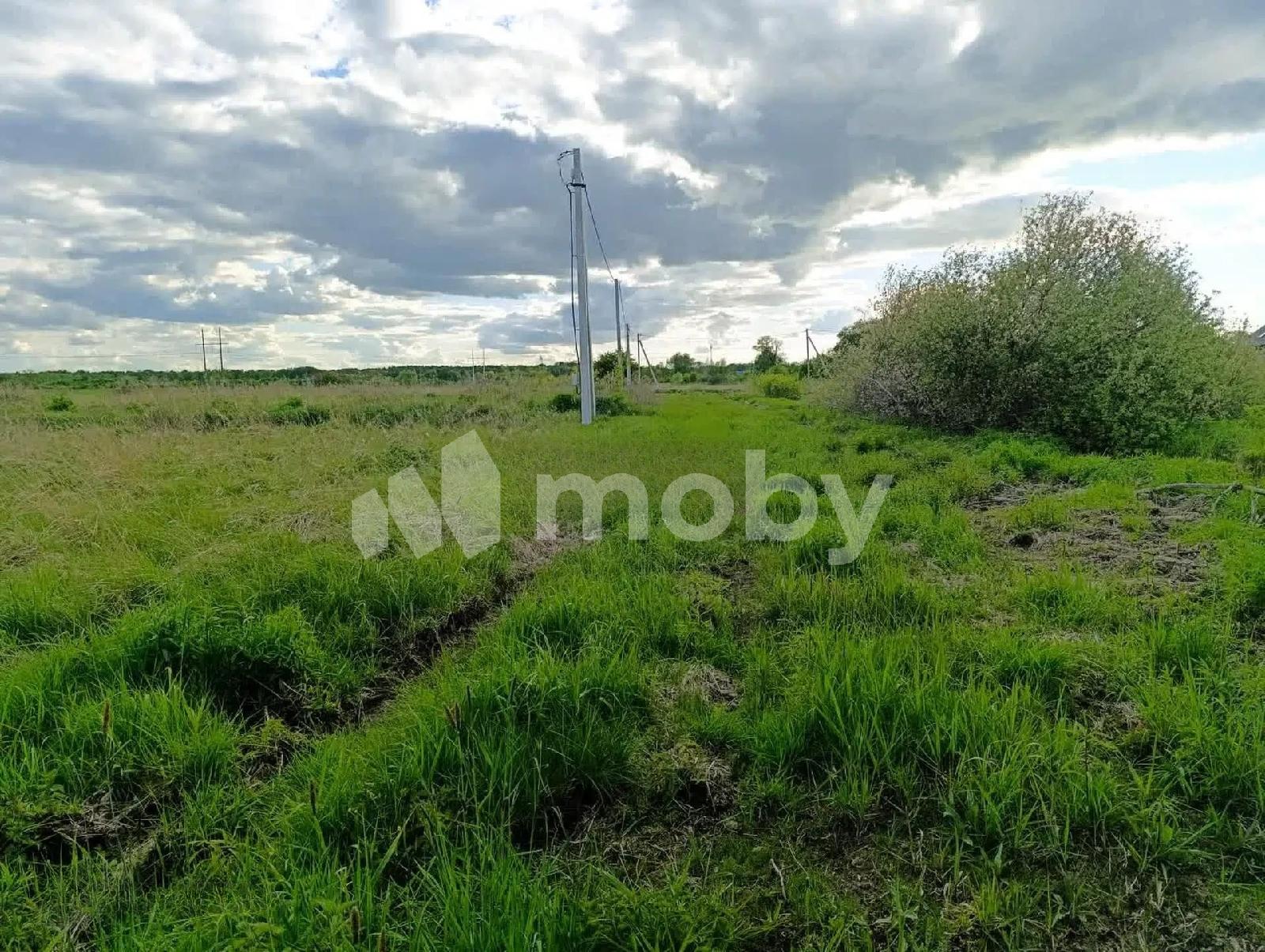 Фото: 2365b175-4ea9-4401-87ec-19614cf299c4.jpg