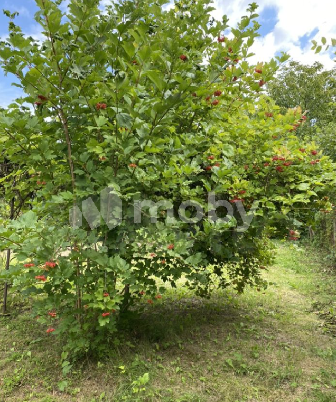 Фото: 2395b2db-f041-49a5-9385-f29a697c898e.png