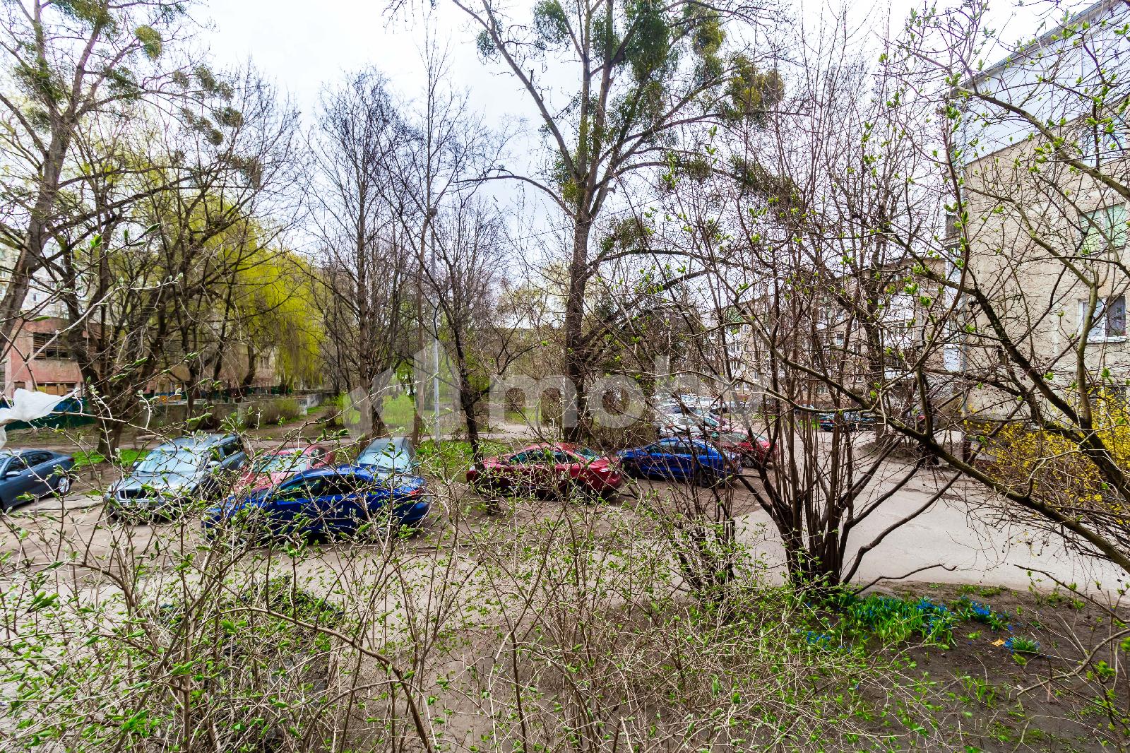 Фото: 23c124d0-1d4b-48a9-ae50-e1d334c11fbc.jpg