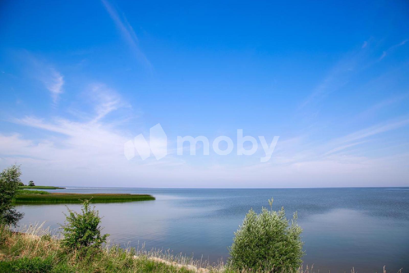 Фото: 244c6d59-d2fc-429b-9cc5-07c2689a9f92.jpg