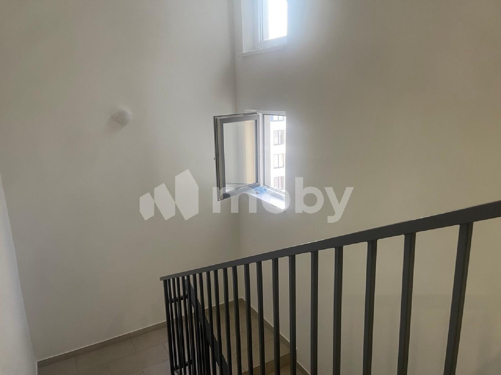 Фото: 249c9ba6-e261-4af2-9fac-672ac05fa5e3.jpg