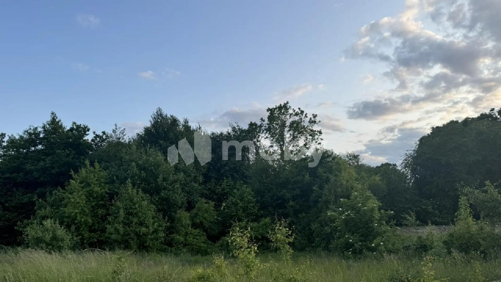 Фото: 24ab94d6-9d6b-4d15-9426-5eb94ad0c09d.jpg