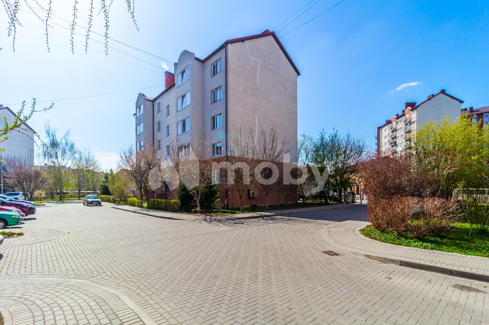 Фото: 24f896e2-d663-4839-be72-6cc9d8d6242c.jpg