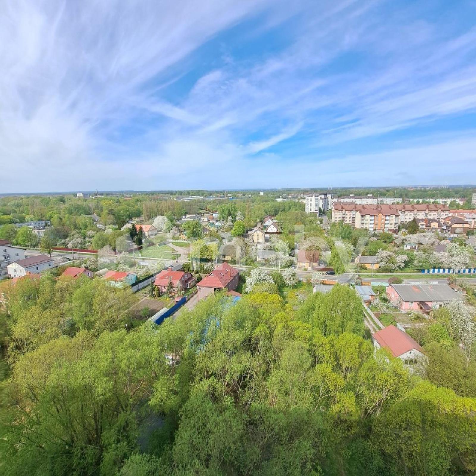 Фото: 257462fc-8ee8-4efe-96cd-c3f54315d555.jpg