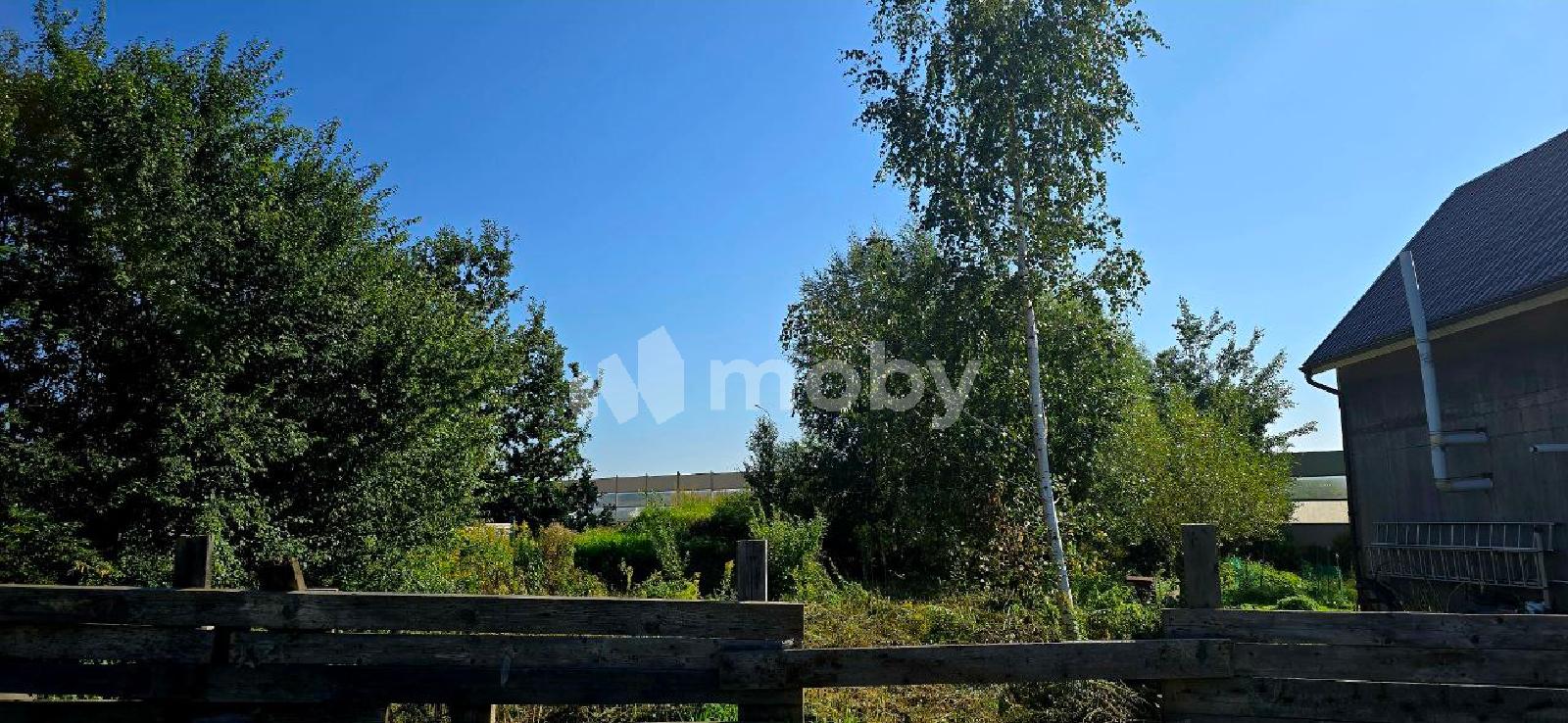 Фото: 25d3a085-e66c-4ccc-8010-dfaca6326a40.jpg