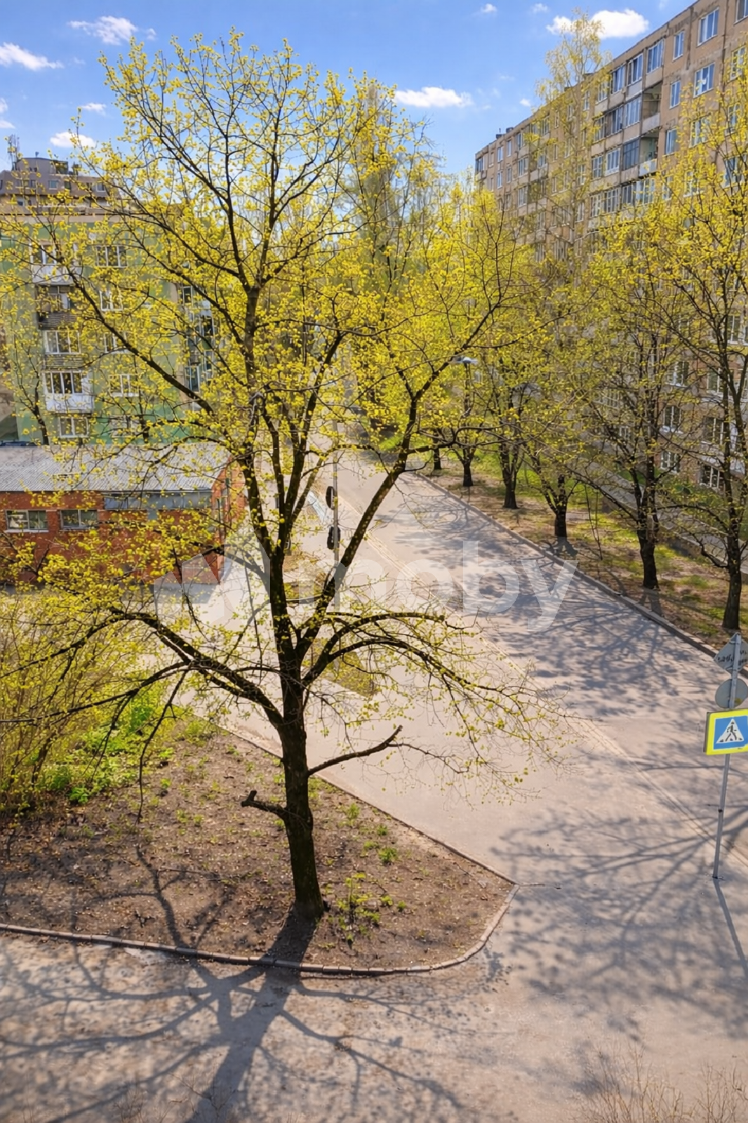 Фото: 2699d2b1-9161-4c50-8b28-104260742ba8.png