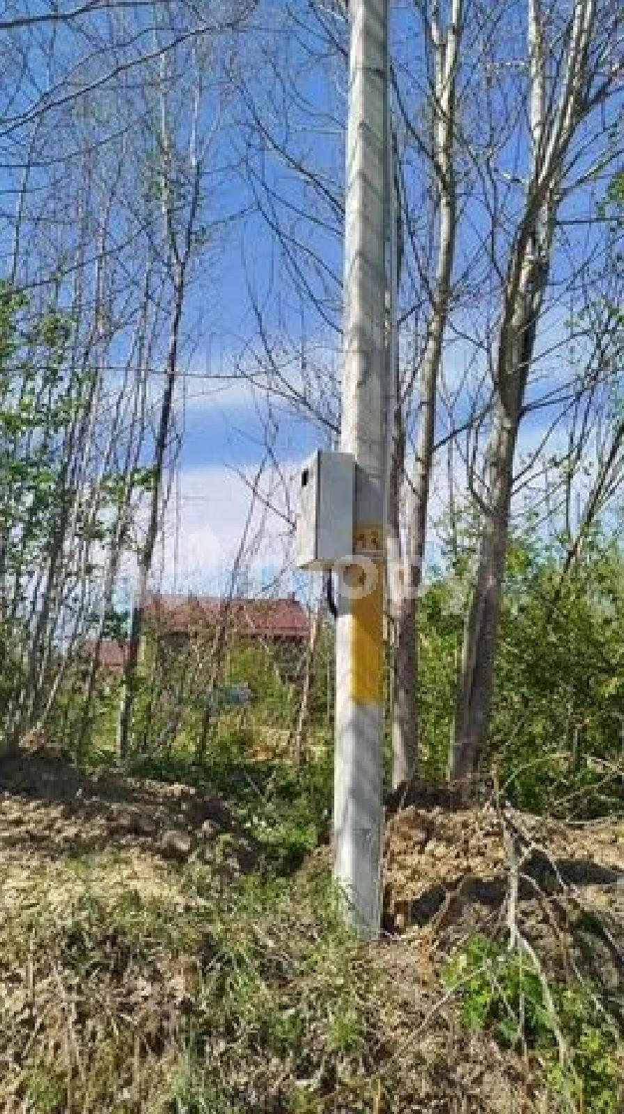 Фото: 282c6ce7-294f-4fe4-b20f-6760c661ca9b.jpg