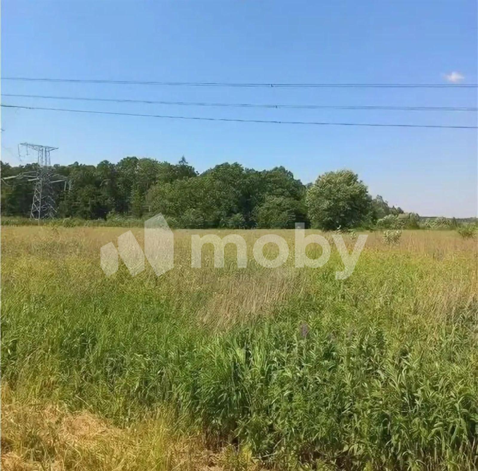 Фото: 28c412c6-9752-4d37-86ad-264d862284e8.jpg