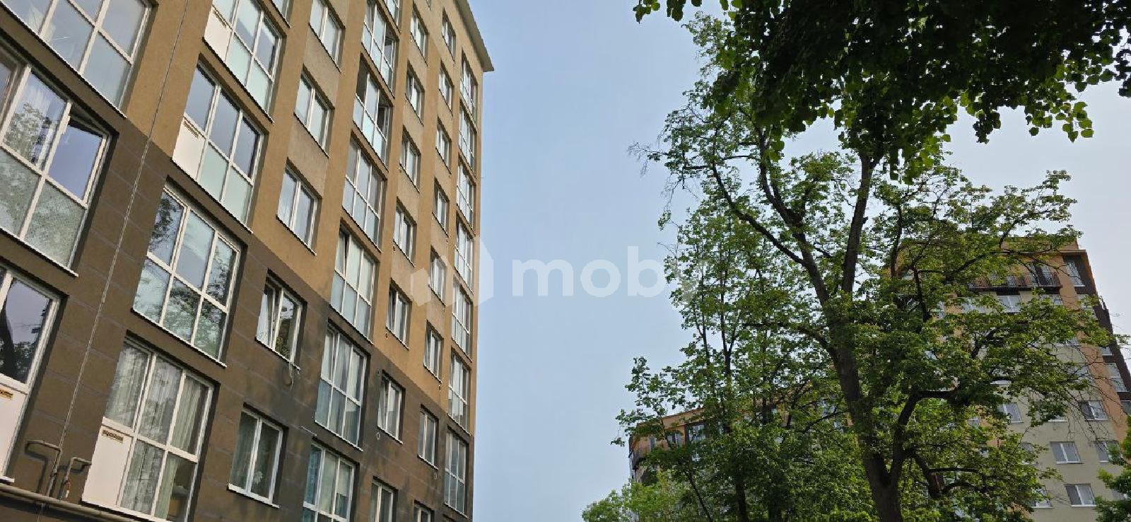 Фото: 28ccbc82-4b8f-482b-8cb3-ac77b2b0f78a.jpg