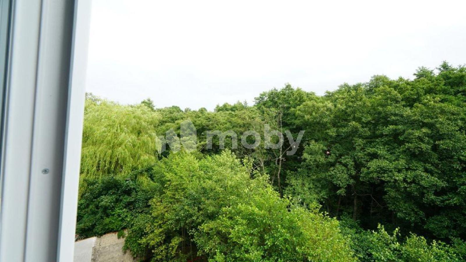 Фото: 28fb89b4-71be-4cac-963d-d513b1483c89.jpeg