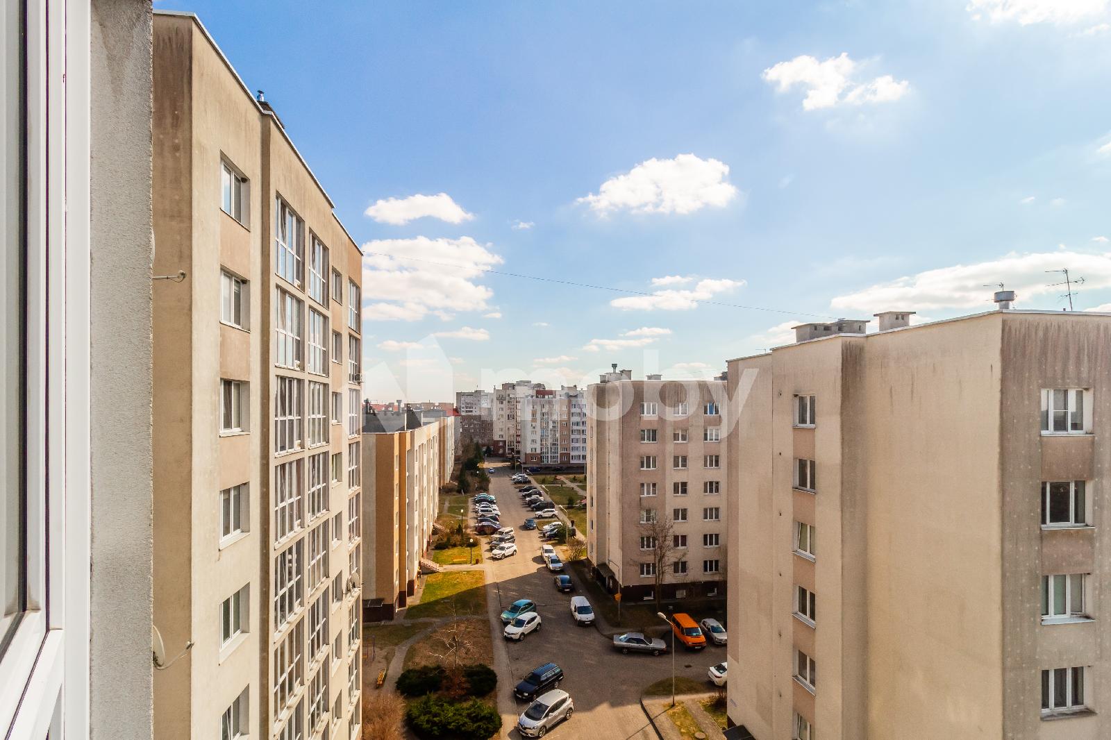 Фото: 294ce29f-b721-4ff1-bf35-106ba82d5ba0.jpg