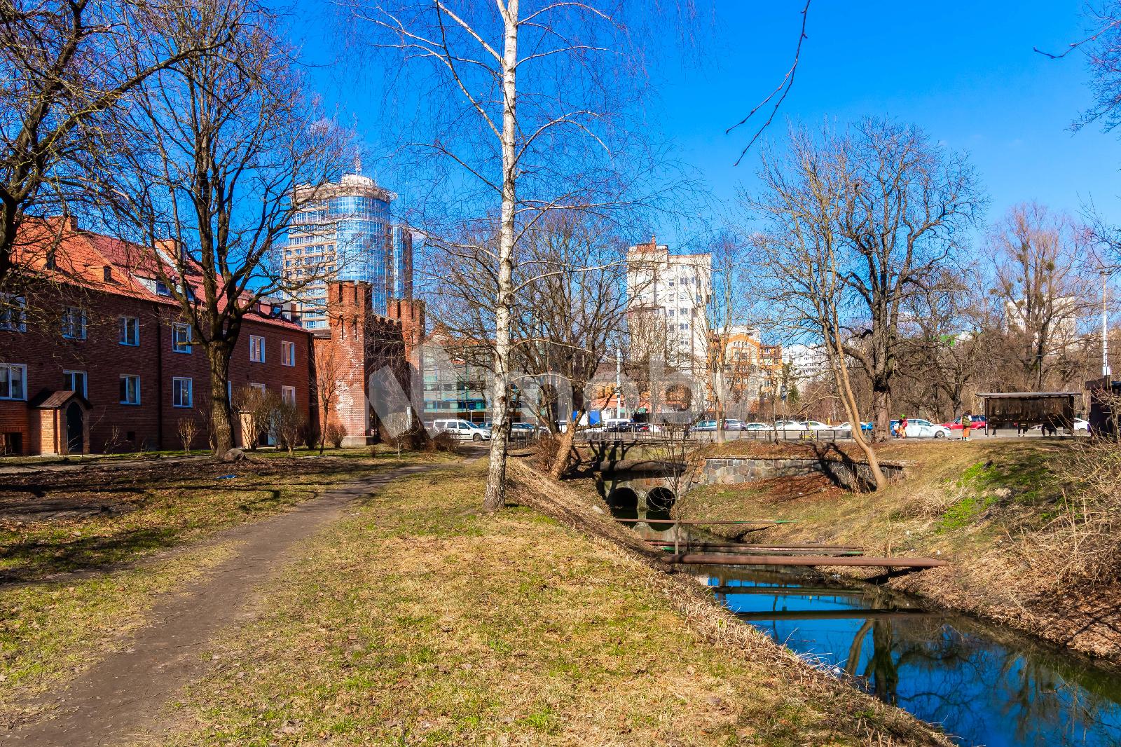 Фото: 29a607b0-38fd-45e6-8c0b-19dde06c8b1f.jpg