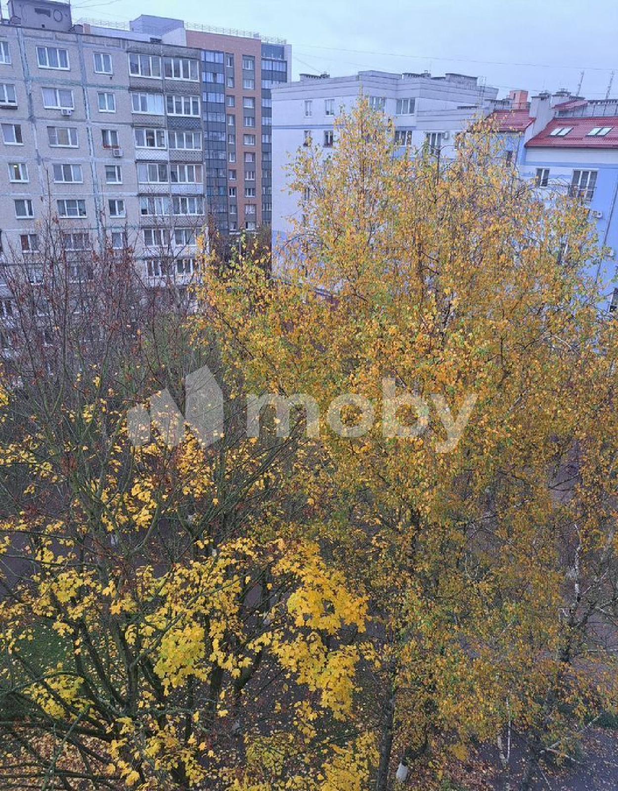 Фото: 2a751ad6-0736-4658-b3b6-bcbeea1173ca.jpg