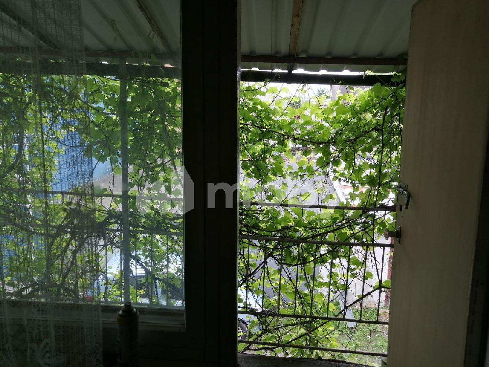 Фото: 2a87544b-bca2-496d-a692-66abc7fb4bc0.jpg