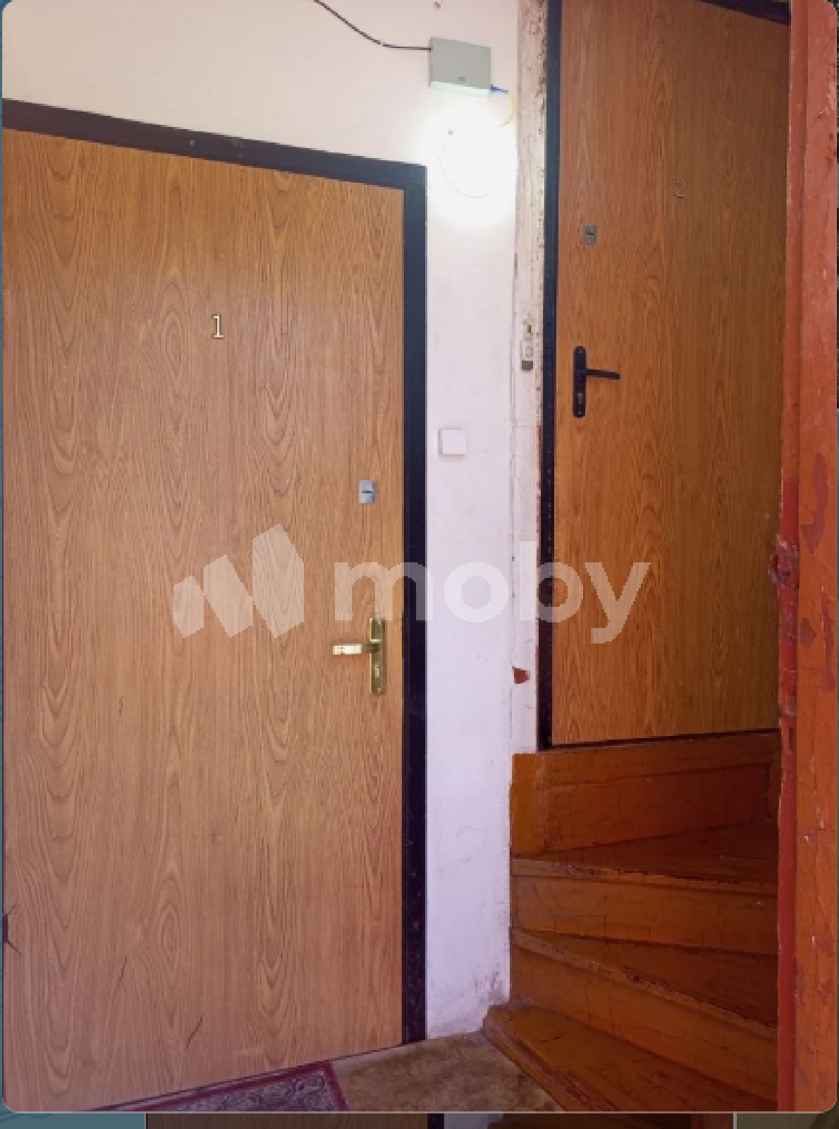 Фото: 2aabd1c0-6818-4888-ac3f-1c293a29b1d2.png
