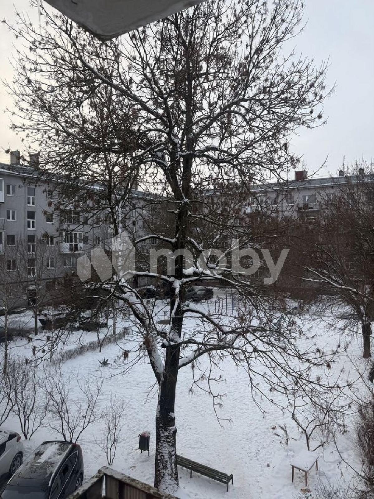 Фото: 2bdf8597-d343-44cc-8931-bcfac3b58b15.jpeg