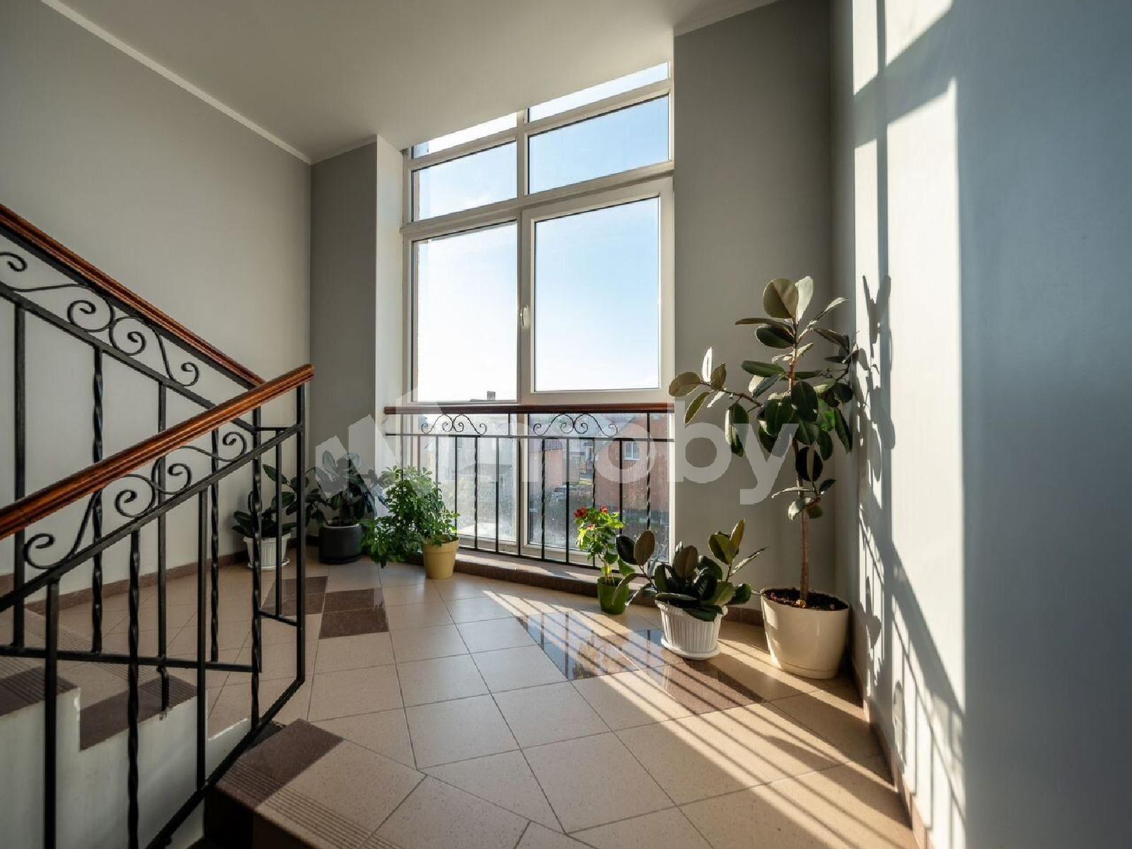 Фото: 2c65d8c5-00dd-4472-9be9-7c05327a6d6d.jpg