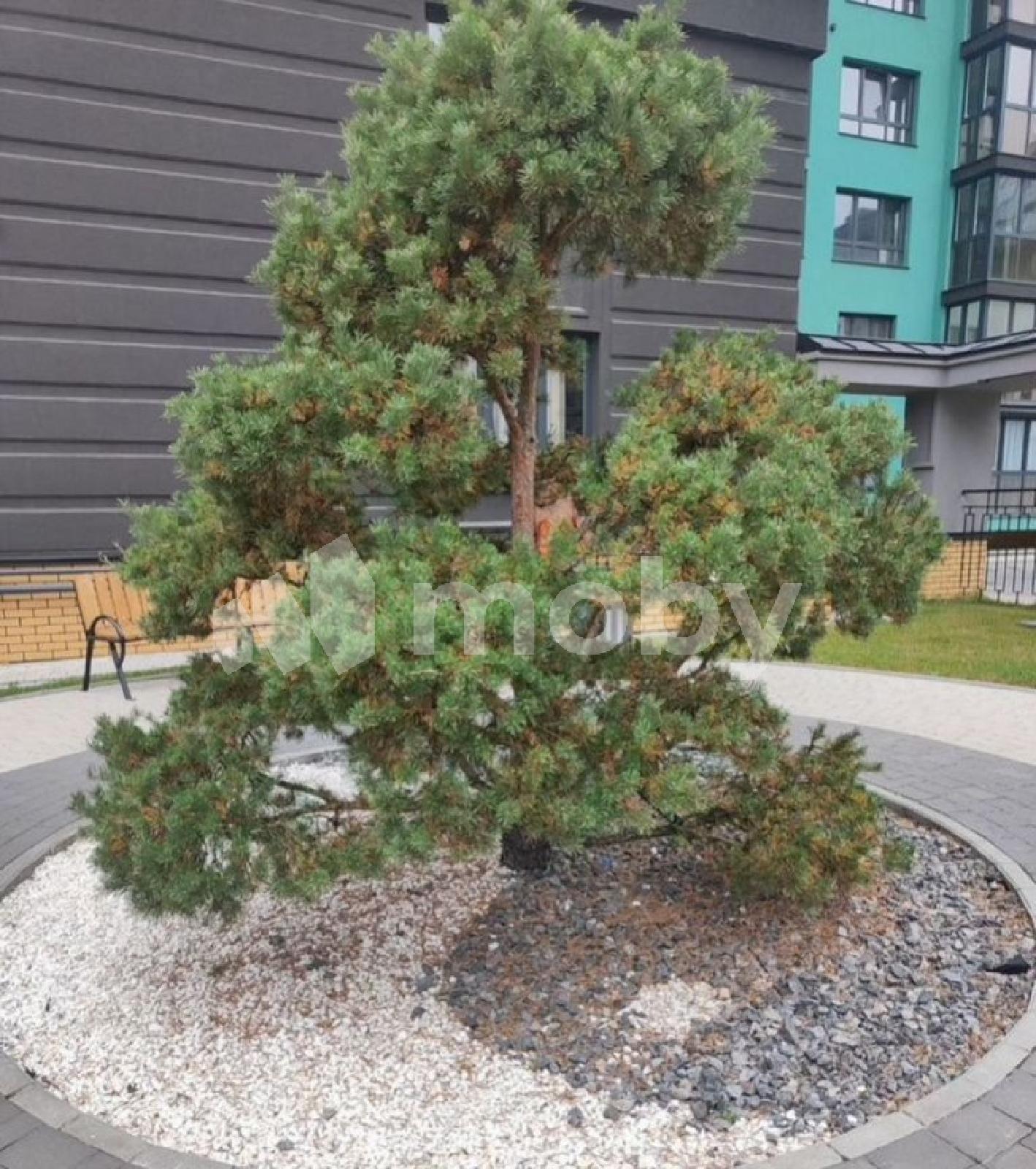 Фото: 2cda2342-e013-4f0e-a75a-22e389e9ced7.jpg