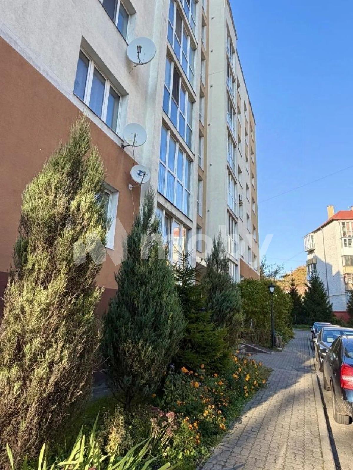 Фото: 2ce9bde8-4246-49de-be8a-5837cbb28d36.jpeg