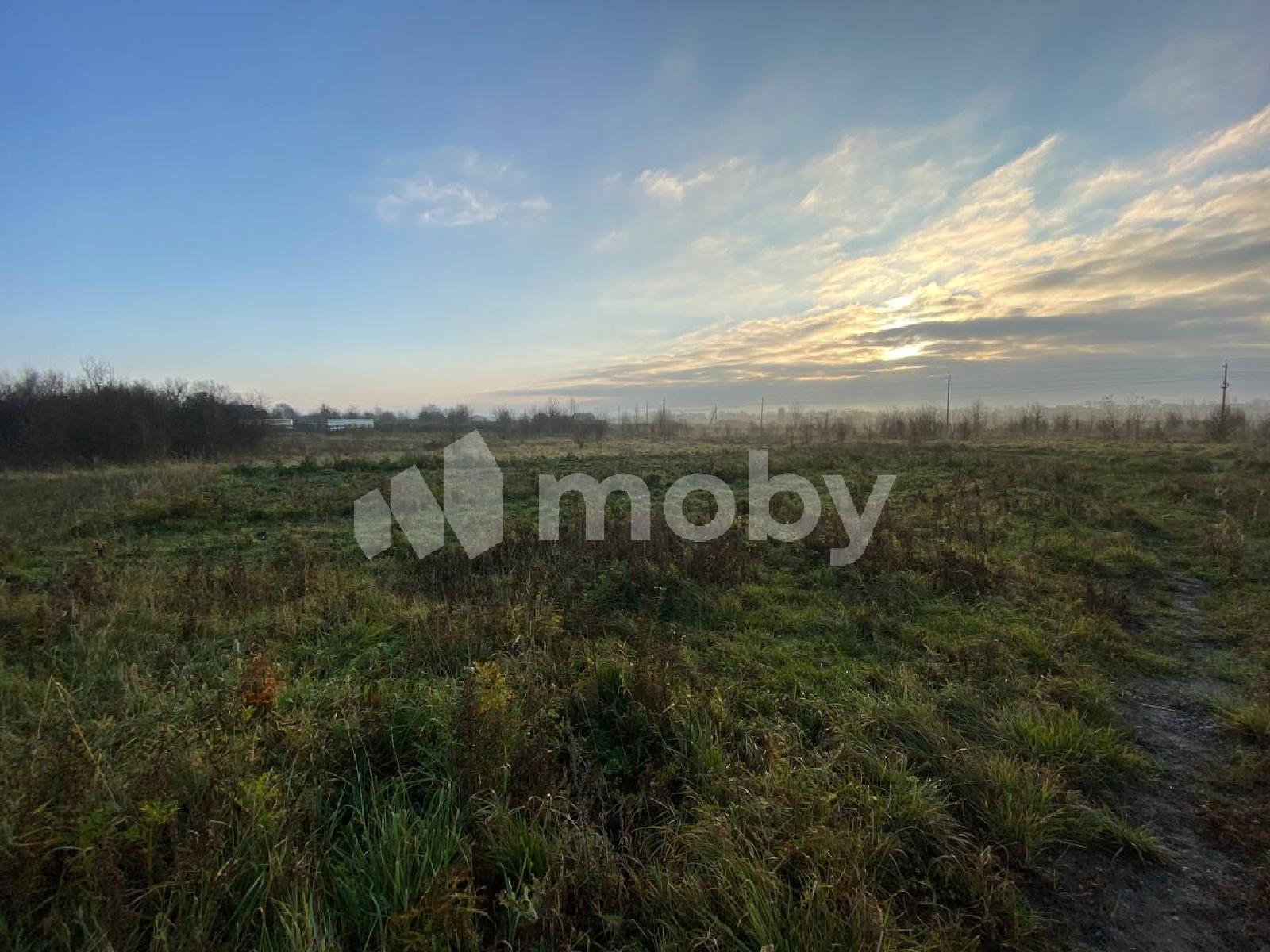 Фото: 2d2e4216-68b4-43da-ae16-c0b9ce3a3b95.jpg