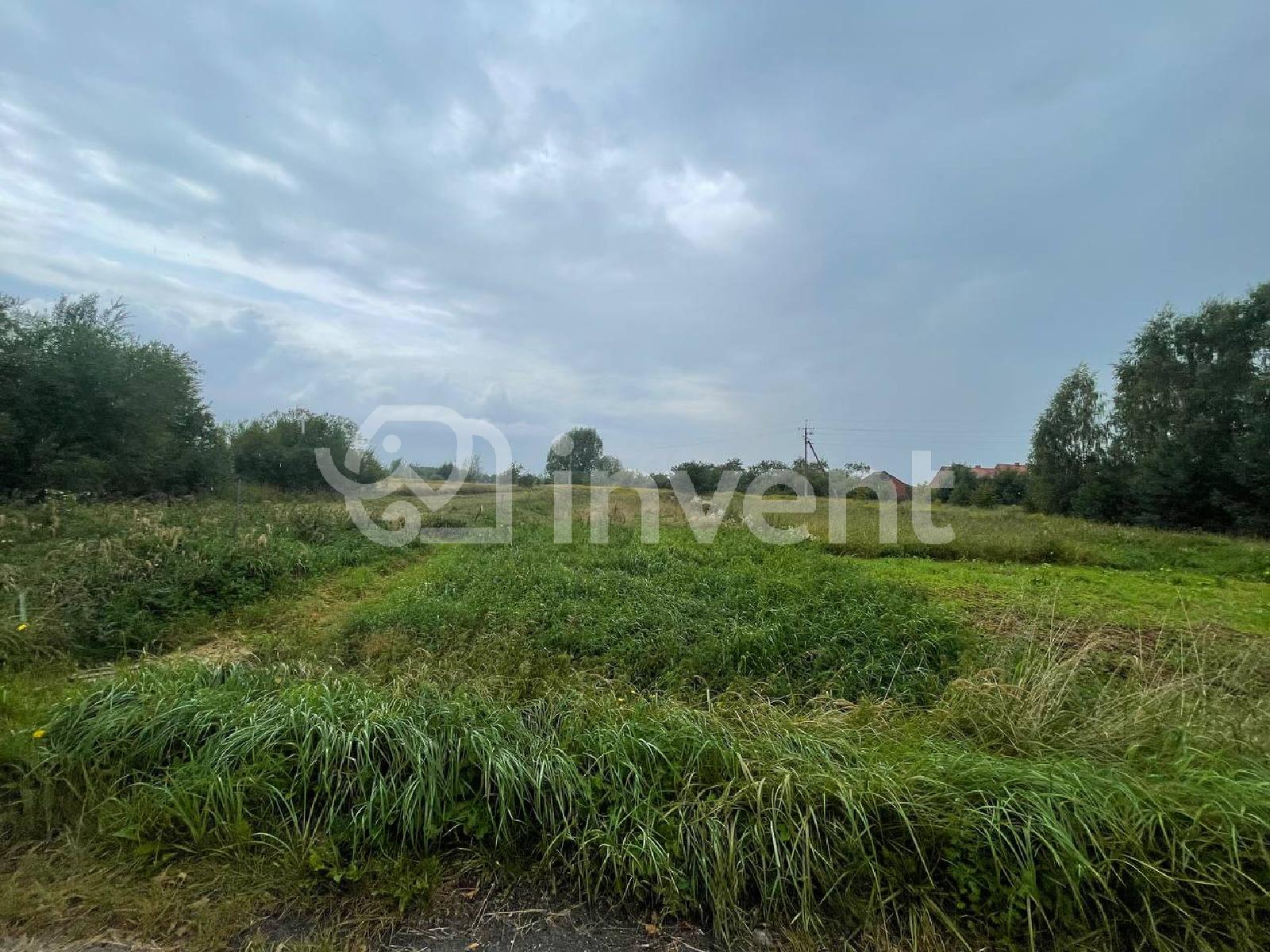 Фото: 2dcdf21f-754b-48c7-803d-eb4798c1b4d9.jpeg