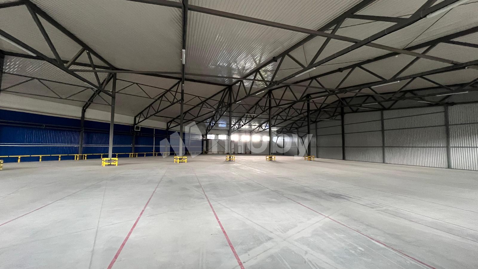 Фото: 2e54a061-a051-4c68-b417-94737e1ad980.jpeg