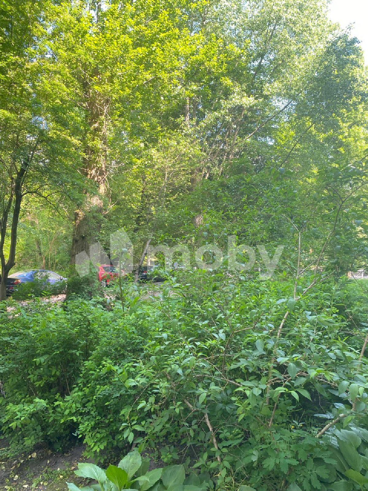 Фото: 2e5a0ded-44fb-484d-ae7e-f78a5e7499a1.jpg