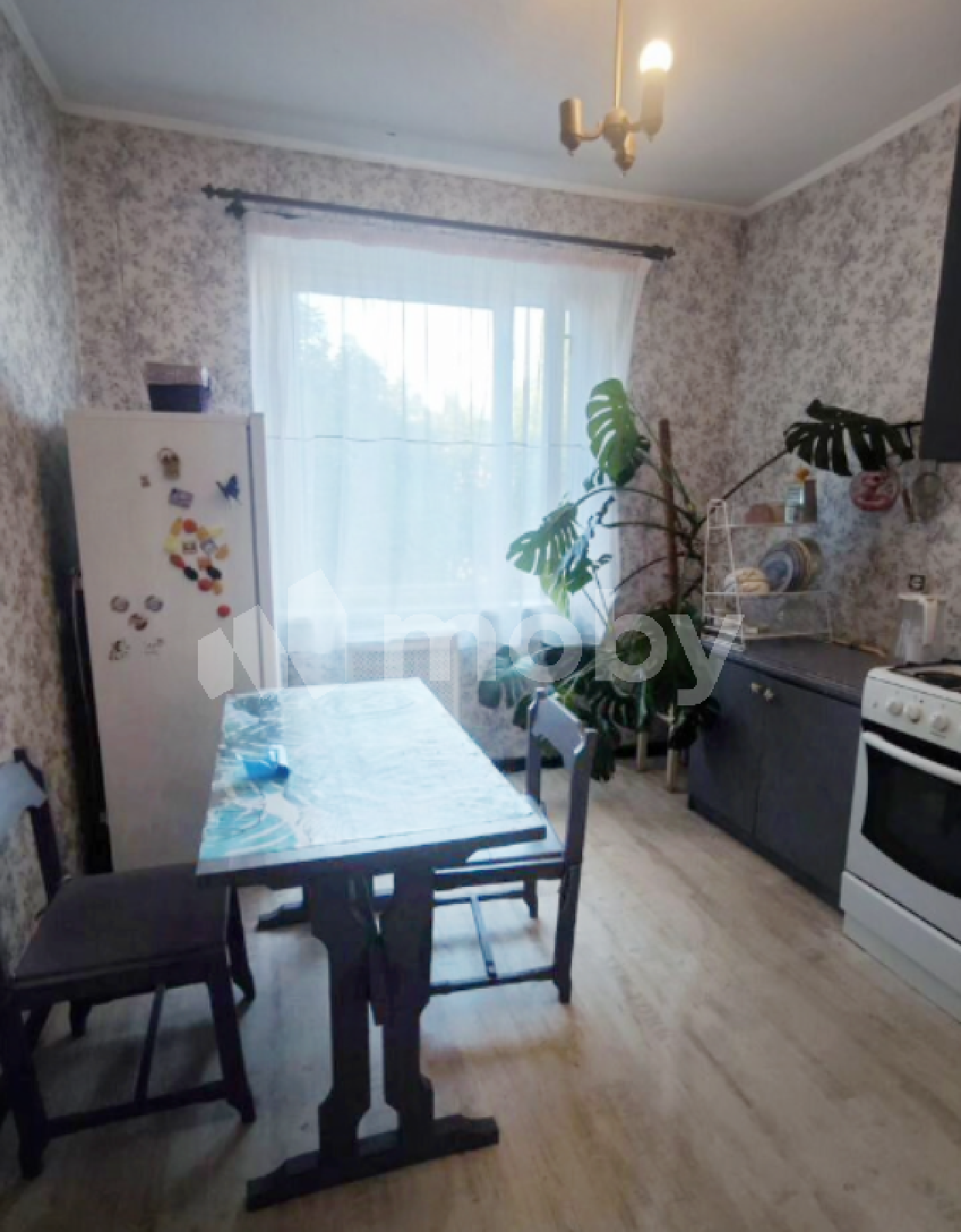Фото: 2ec31295-03bb-43a3-83ef-1e1c03ce3e6e.png