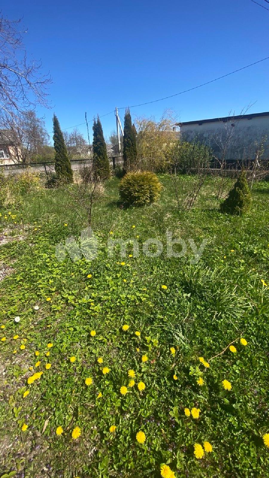 Фото: 2ec41fef-9702-4df0-9b8b-345509fc4e34.jpg