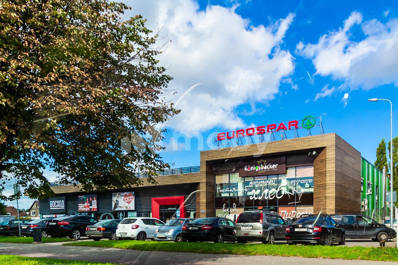 Фото: 2eca8cd1-0456-4b5d-8eb3-dd8df1ee1956.jpg