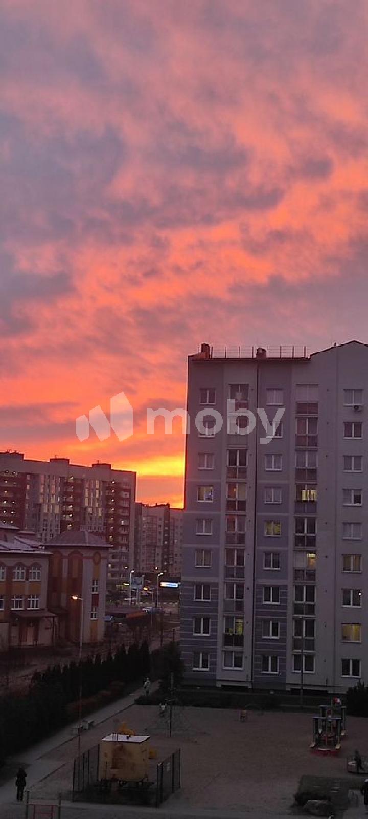 Фото: 308be2b0-6e33-4f74-8260-b7d7f840929d.jpg