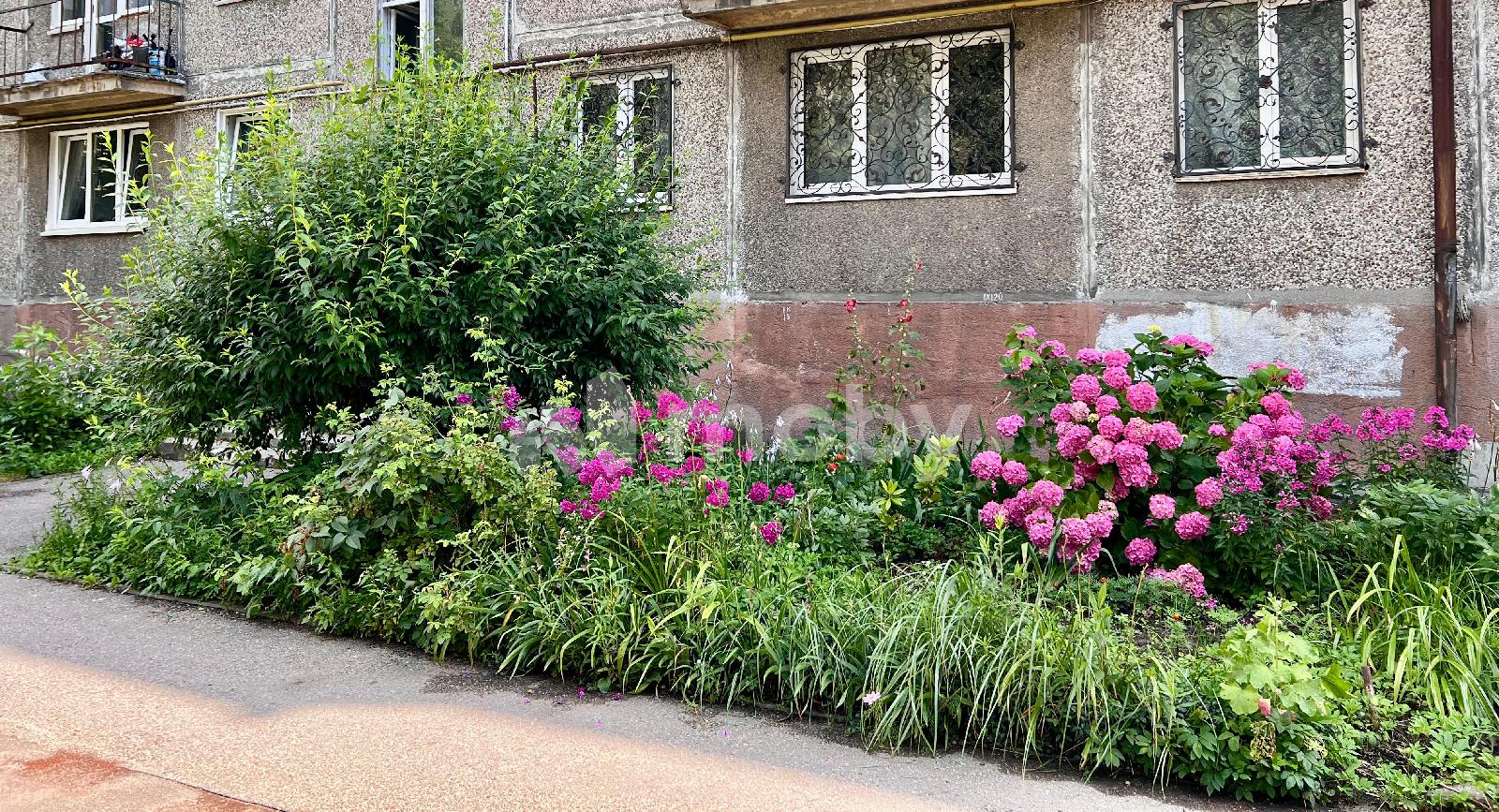 Фото: 3111f4f4-5fa4-4560-801a-8d18c50c475d.jpeg