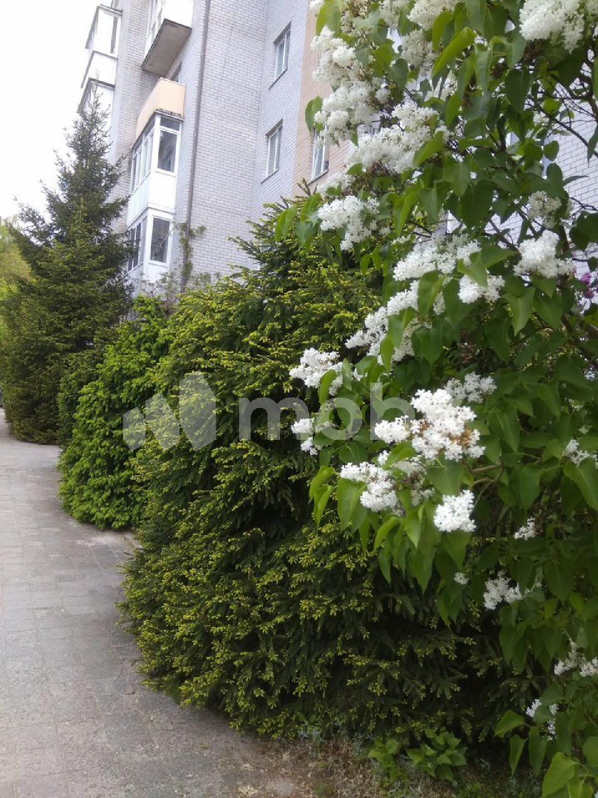 Фото: 315db381-e66d-4a78-8201-c4f66af62200.jpg