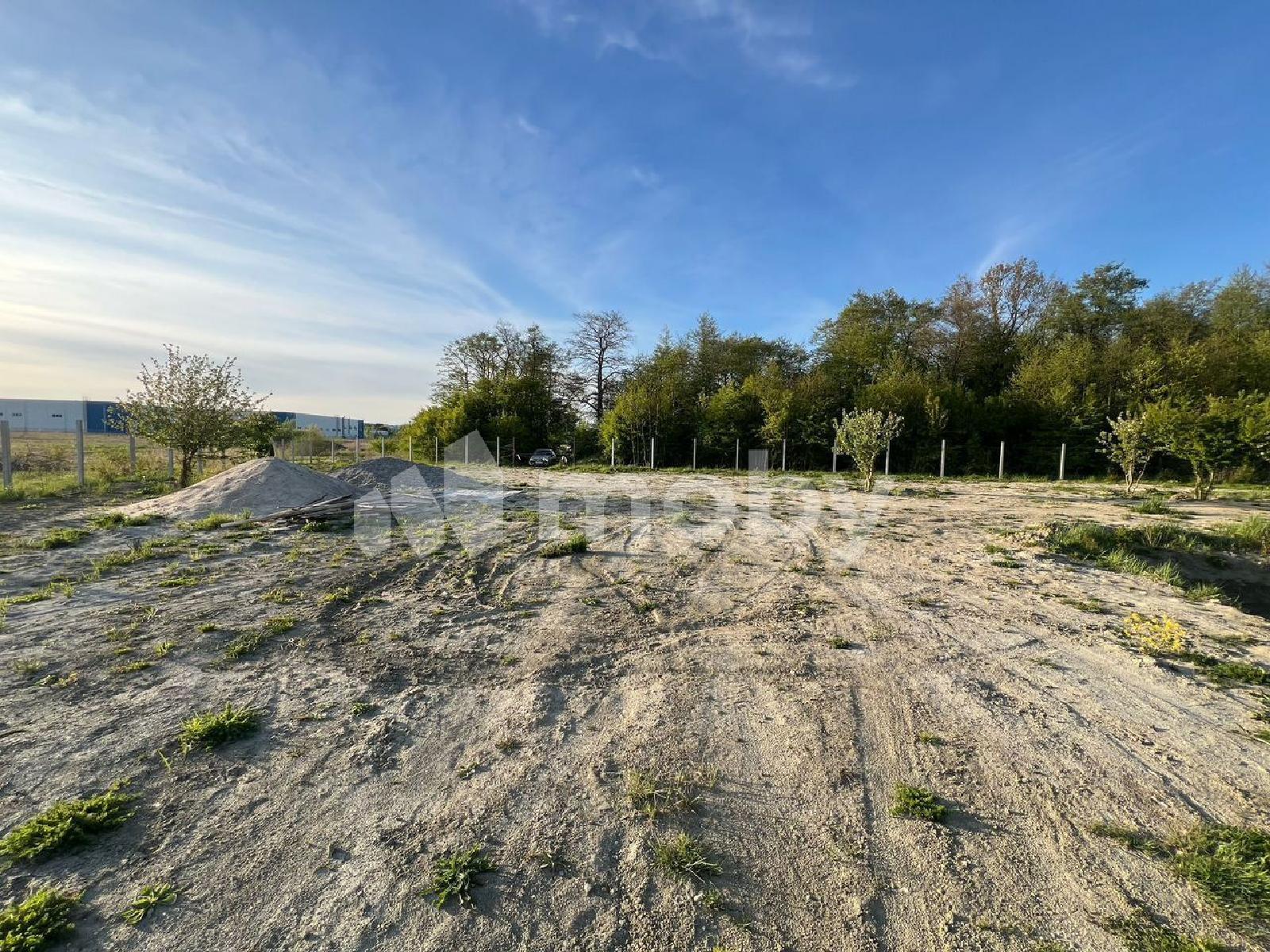 Фото: 31634336-c506-4b02-86fa-bc1a2f5df57a.jpg