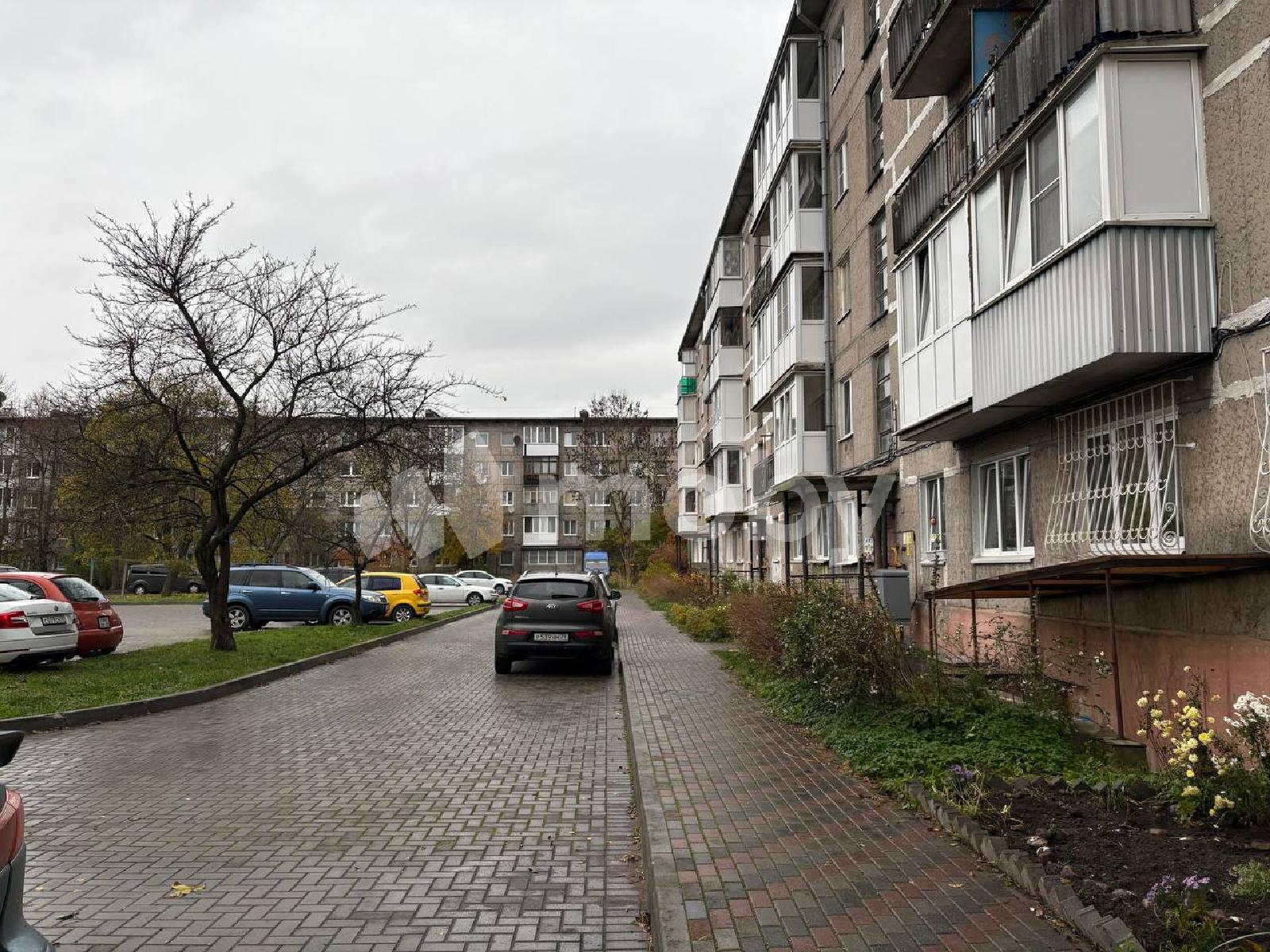 Фото: 31ea2ee2-3c11-4bb3-9d01-ff53fa7db65d.jpg