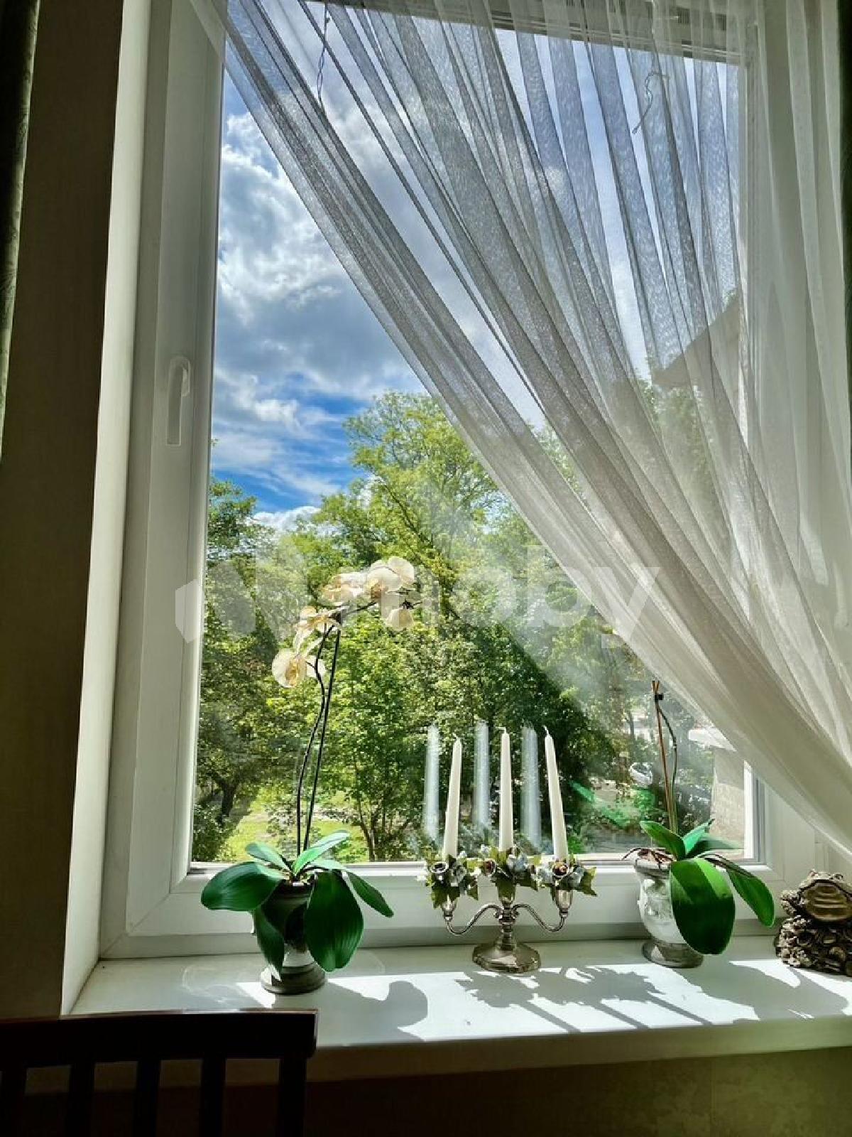 Фото: 31eafbd0-5b5d-4551-aee7-7ca710dcd1a1.jpg