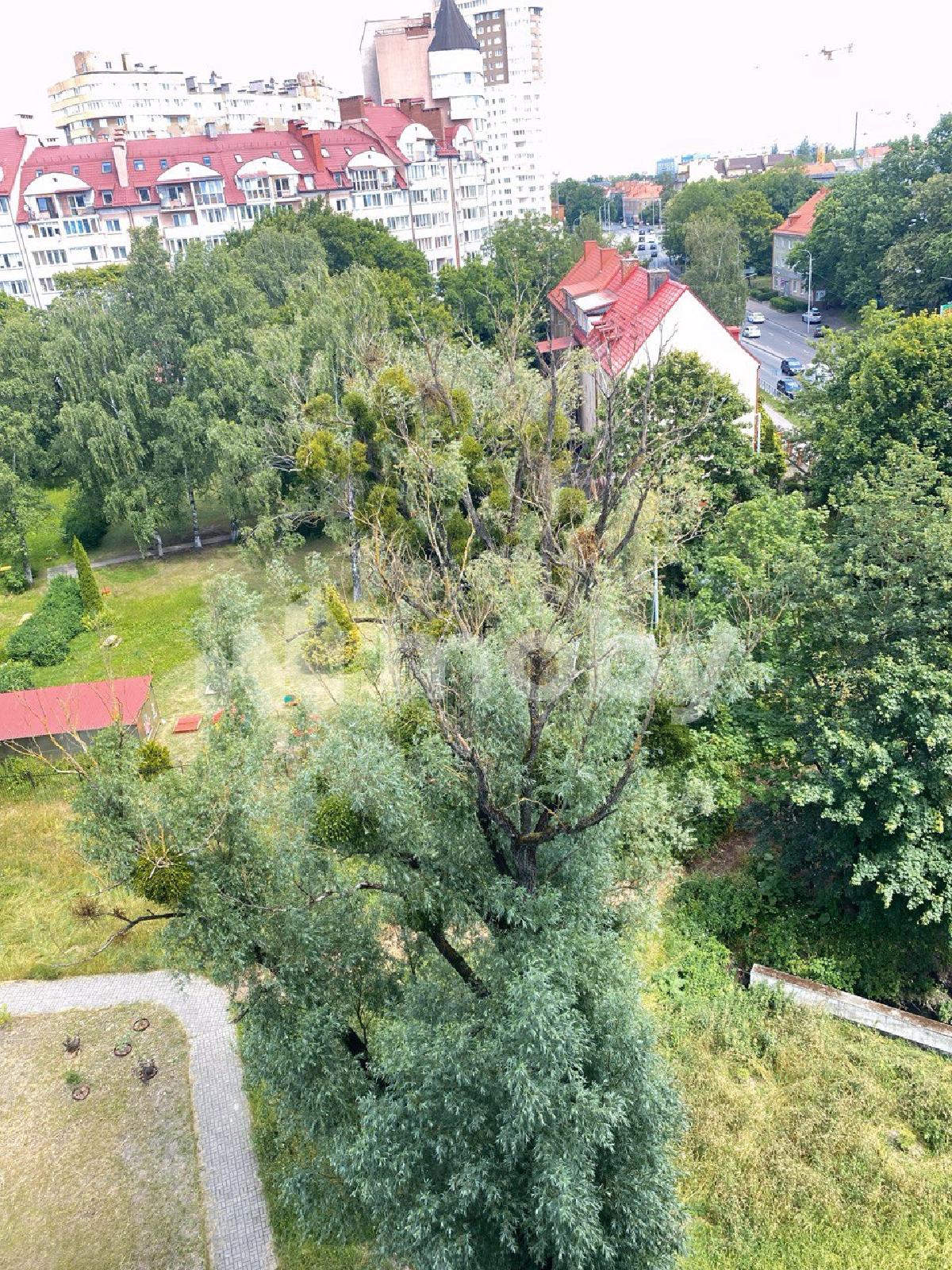 Фото: 31ef83be-3741-4eec-9c5d-f092cf09b851.jpg