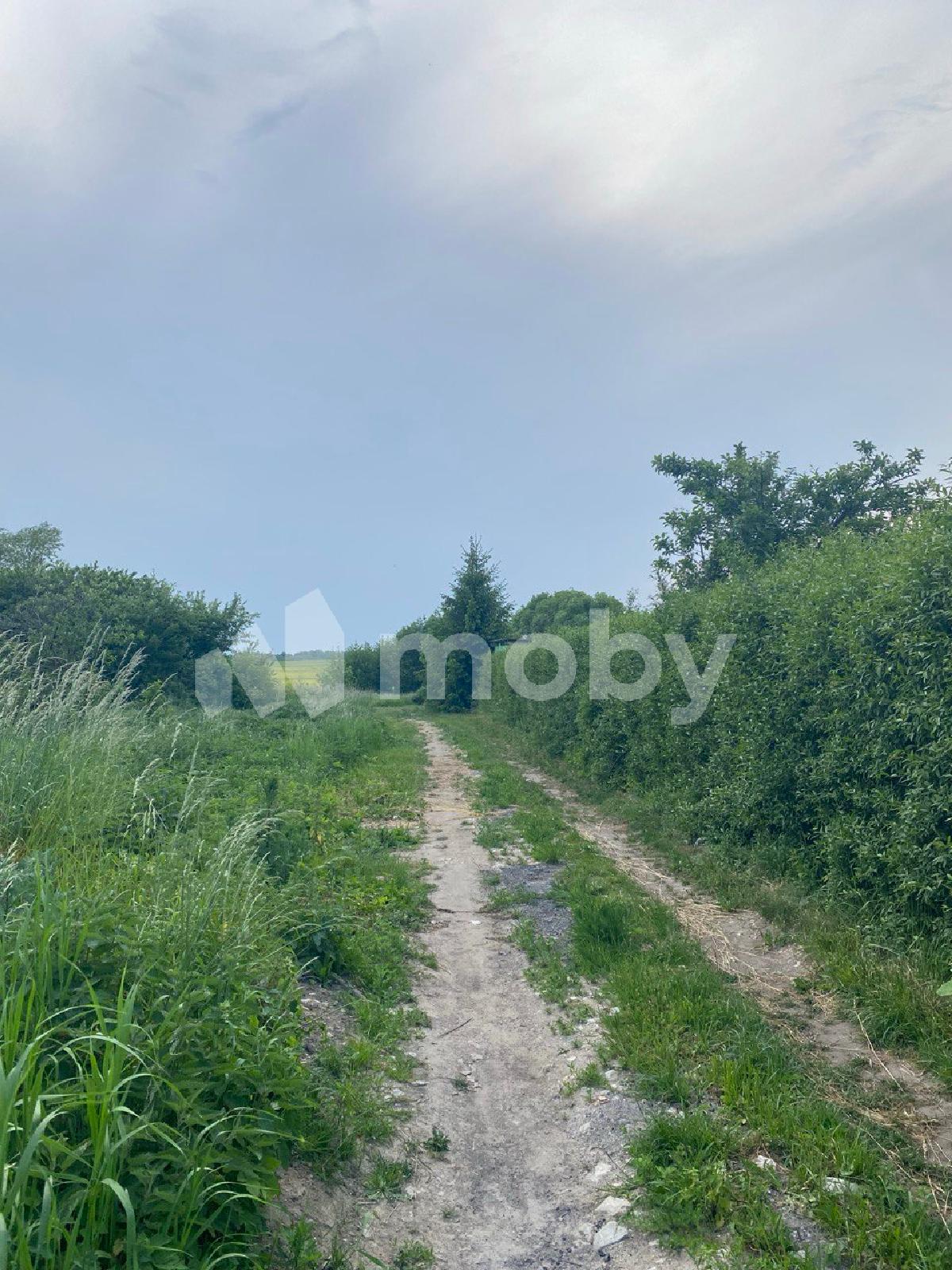 Фото: 32ff854e-81c5-4110-b618-2fe42480ef7a.jpg