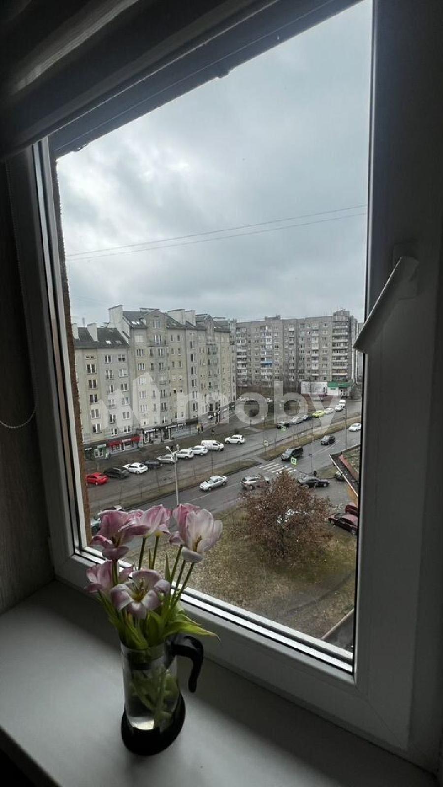 Фото: 33668700-c1f8-4f51-91ac-2d80191523b7.jpg