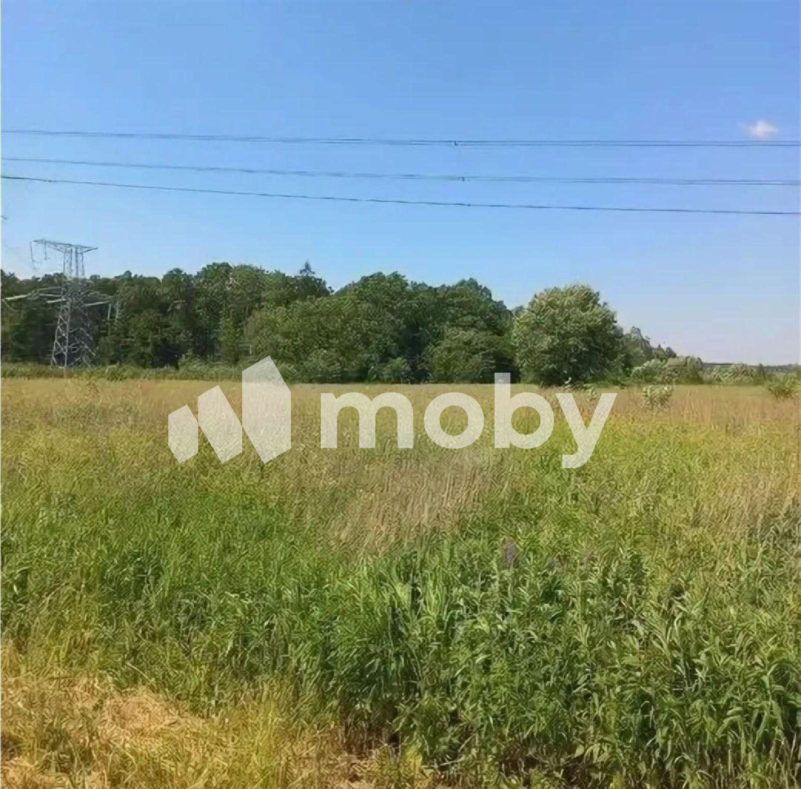 Фото: 33e8e27b-b736-4fbc-be7a-5f8182be5eb3.png