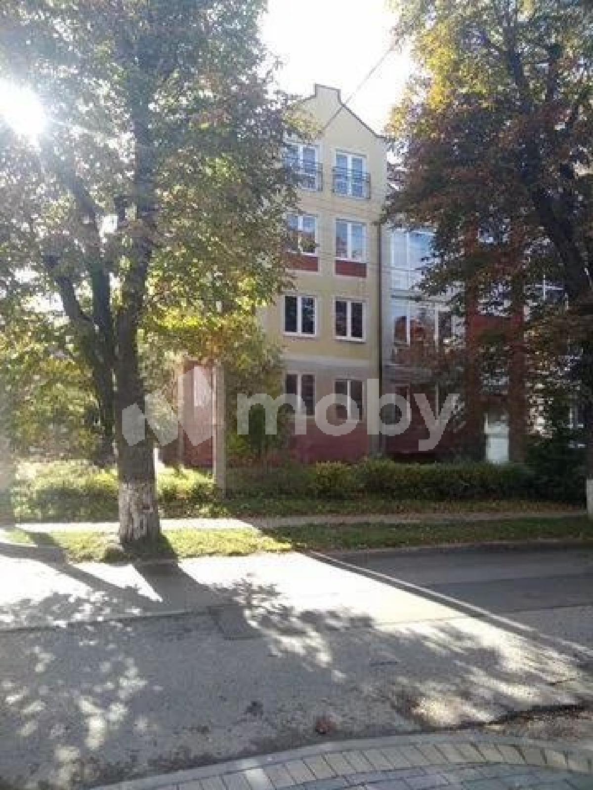 Фото: 340f7c49-5583-4f23-a143-83d786567810.jpg