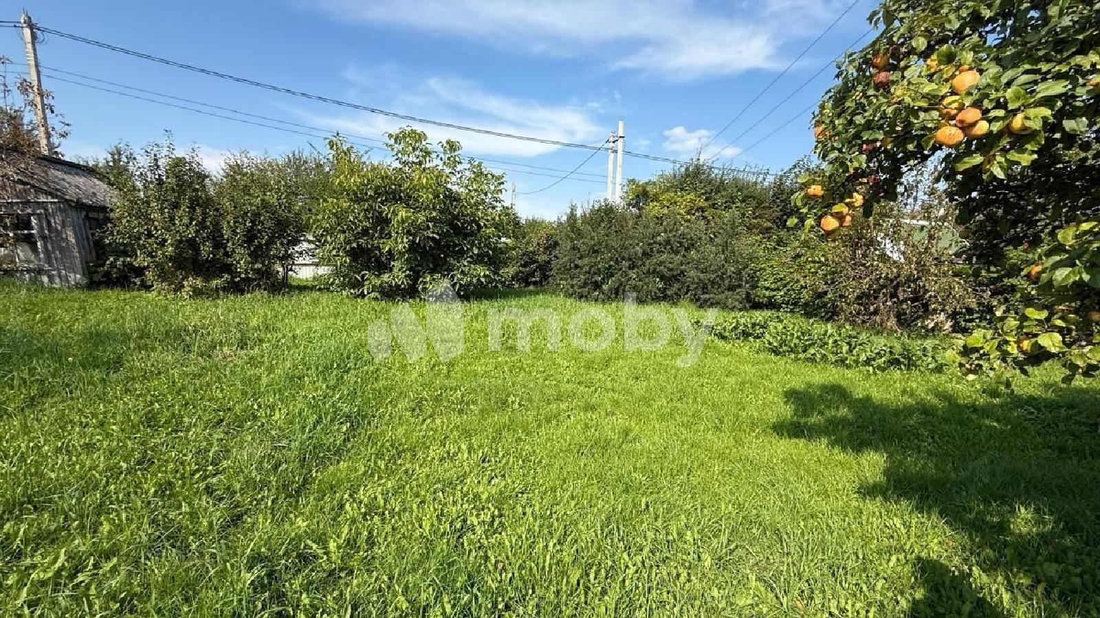 Фото: 3631bcca-daae-4820-8825-f46b451952bb.jpg