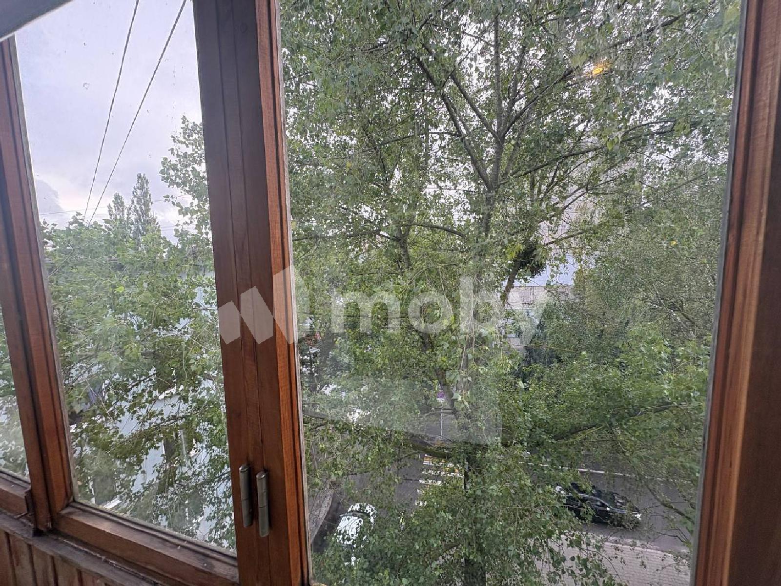 Фото: 36428e7e-b061-46d6-902b-a2af68195912.jpg