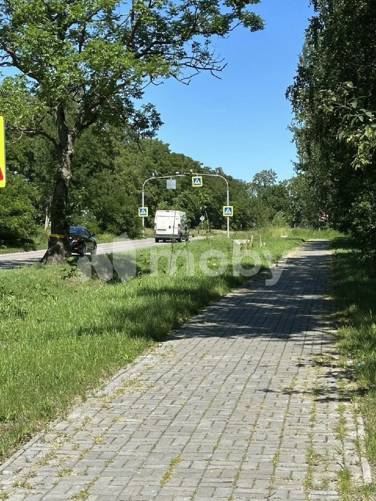 Фото: 36702184-1b21-4be0-8f5d-d51327fdb678.jpg