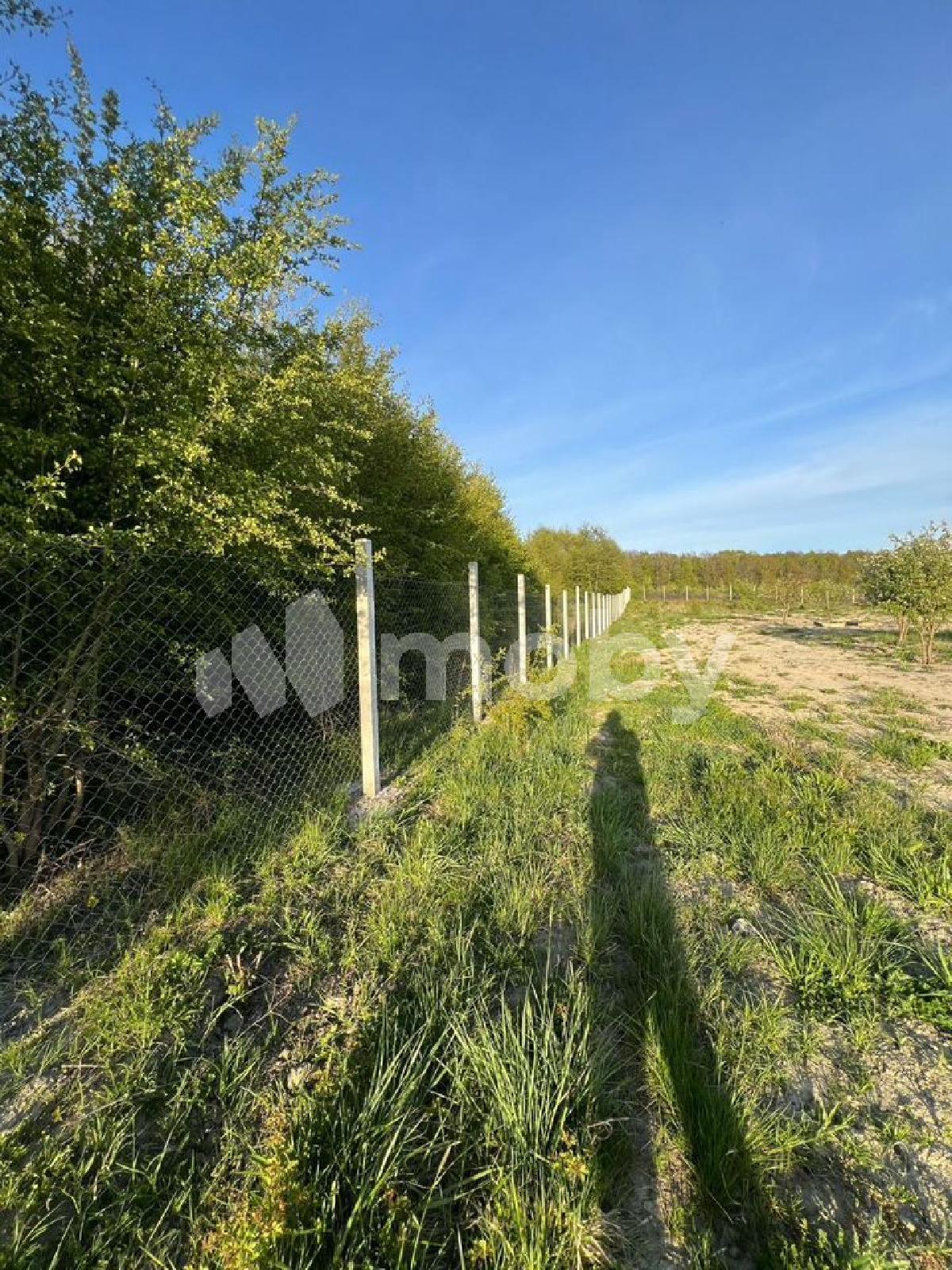 Фото: 367274b2-774f-4925-810c-f5f00a4a7c3f.jpg