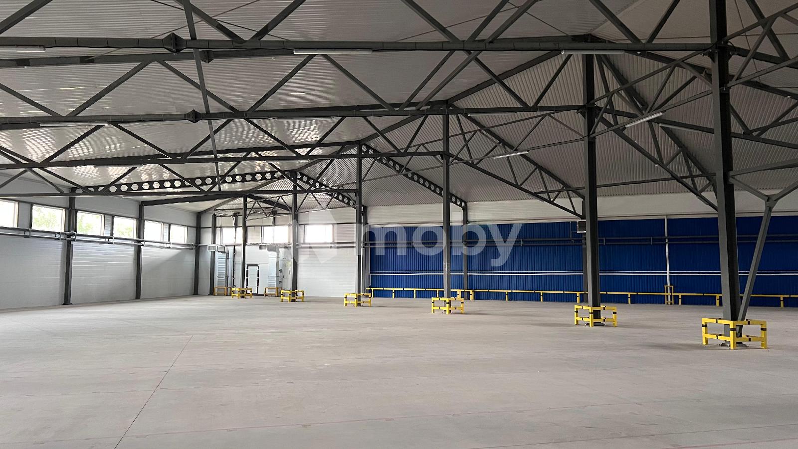 Фото: 368c01a8-cfd4-467a-bf28-80b3157c0edf.jpeg